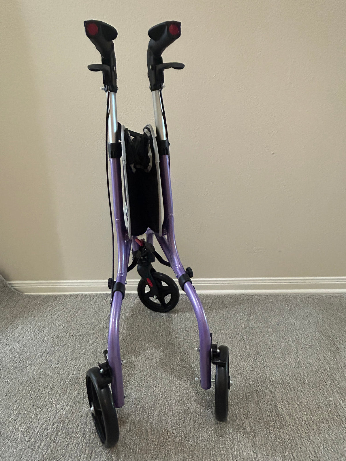 Planet Walk 3-Wheel Rollator with Storage Bag